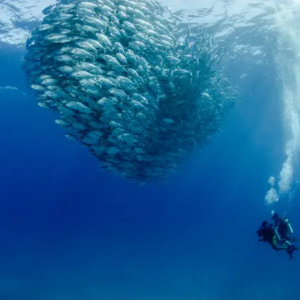 Cozumel, Quintana Roo